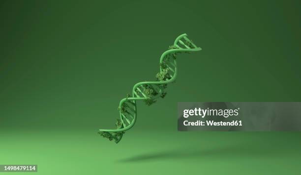 dna covered with green plants against green background - dna stock-fotos und bilder
