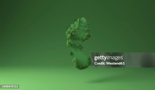 footprint covered with green plants against green background - emissioni di co2 foto e immagini stock