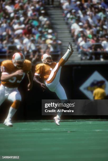 Punter Reggie Roby of the Tampa Bay Buccaneers punts in the game between the Tampa Bay Buccaneers vs the Philadelphia Eagles at Veterans Stadium on...