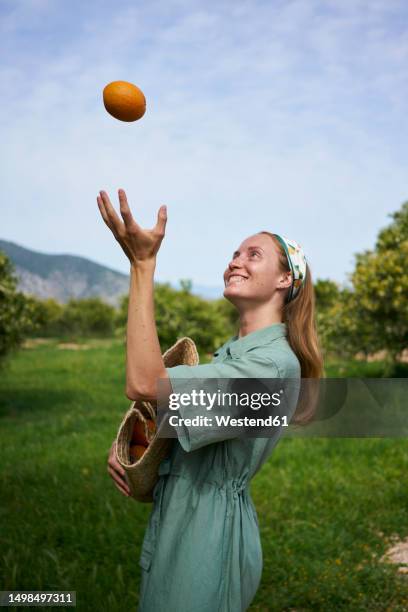 smiling woman throwing orange standing in orchard - woman catching stock pictures, royalty-free photos & images