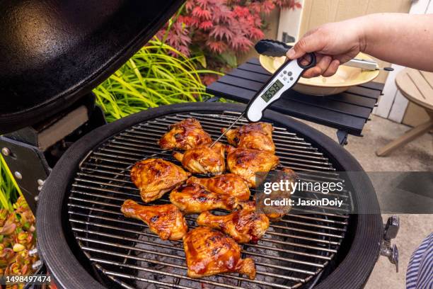 donna che prepara e griglia il pollo - termometro foto e immagini stock