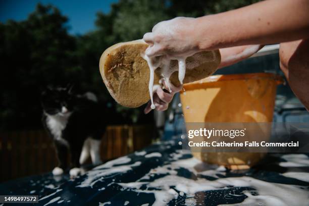 a child washes a car with a sponge whilst her pet cat watches on with curiosity - wet cat stock pictures, royalty-free photos & images