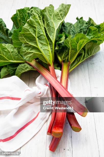 napkin and freshly harvested rhubarb - rabarber stockfoto's en -beelden