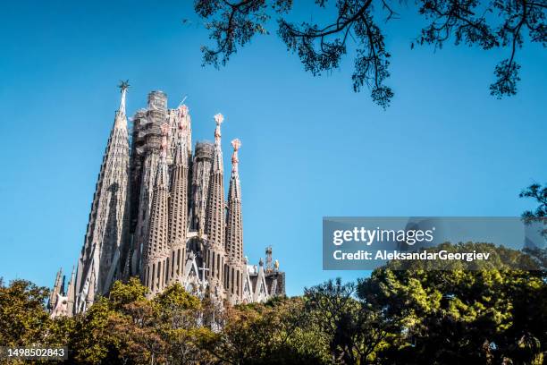 vue du parc de la sagrada família à barcelone, espagne - sagrada familia photos et images de collection