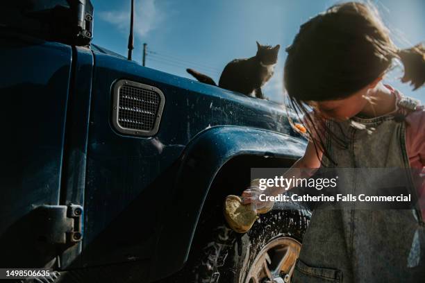 a child washes the large wheel of a 4 x 4 vehicle as her cat watches on from its perch on the bonnet - wet cat stock pictures, royalty-free photos & images