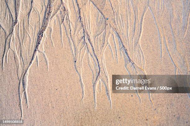 full frame shot of sand,whitby,united kingdom,uk - beach sand stock pictures, royalty-free photos & images