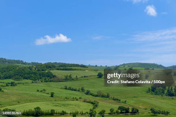 Rotello Rotello Photos and Premium High Res Pictures - Getty Images