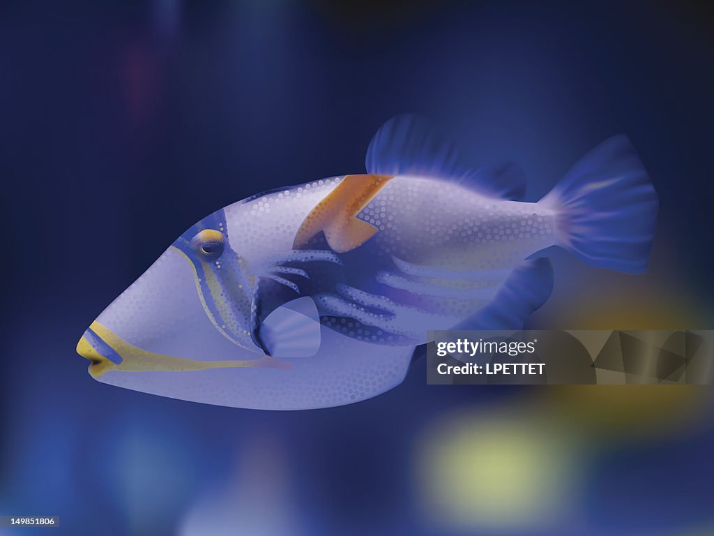 Picasso Fish - Vector Illustration