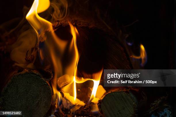 close-up of bonfire at night,sajur,israel - fuego al aire libre fotografías e imágenes de stock
