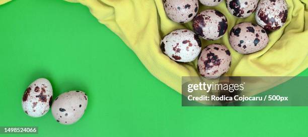 high angle view of easter eggs with eggs on green background - pascoa 個照片及圖片檔