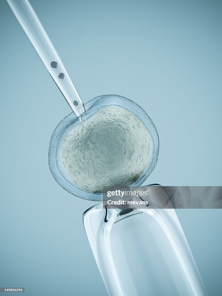 Artificial Insemination