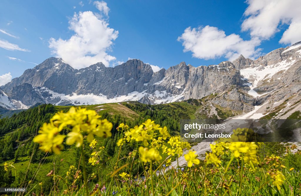 Faszinierendes Panorama auf die Dachstein Südwand, ein Paradies für Wanderer, Naturliebhaber und Bergsteiger. (Gipfel v.l.n.r.: Torstein, Mitterspitz, Hoher Dachstein, Dirndl, Hunerkogel).