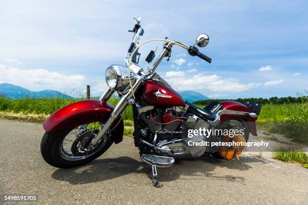 a soft tale harley davidson motor bike parked on a road in the countryside - harley davidson stock pictures, royalty-free photos & images