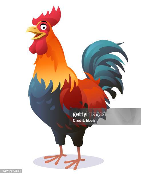 illustrazioni stock, clip art, cartoni animati e icone di tendenza di gallo - cock