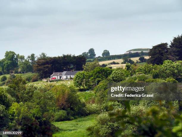 brú na bóinne countryside, ireland - bru na boinne stock-fotos und bilder