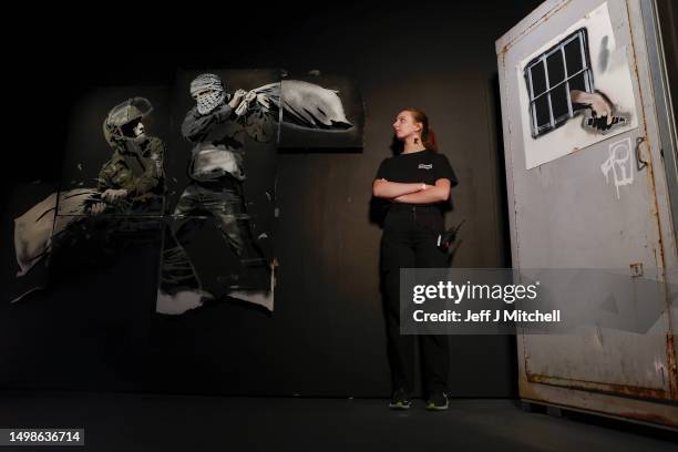 Matilda Lask stands views the new show by artist Banksy 'Cut & Run' which opens on the 18th at Glasgow's GoMA on June 15, 2023 in Glasgow, Scotland....