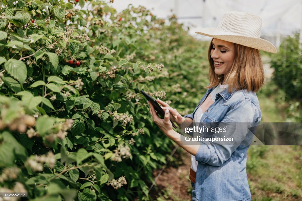 Checking the quality of the product
