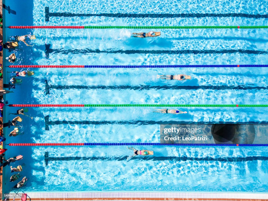 Professional swimmers in a Swimming Pool