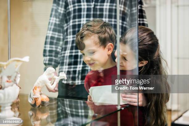 young boy and girl looking at items on display in glass cabinets while exploring museum - 歴史博物館 ストックフォトと画像