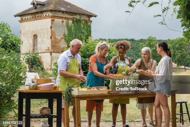 learning how to cook like the french - cultural tourism stock pictures, royalty-free photos & images