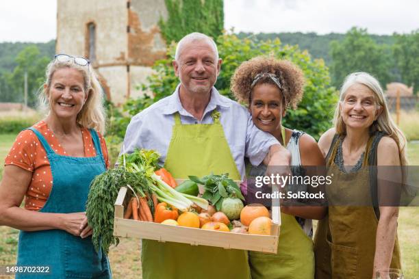 os alunos da aula de culinária - occitanie - fotografias e filmes do acervo