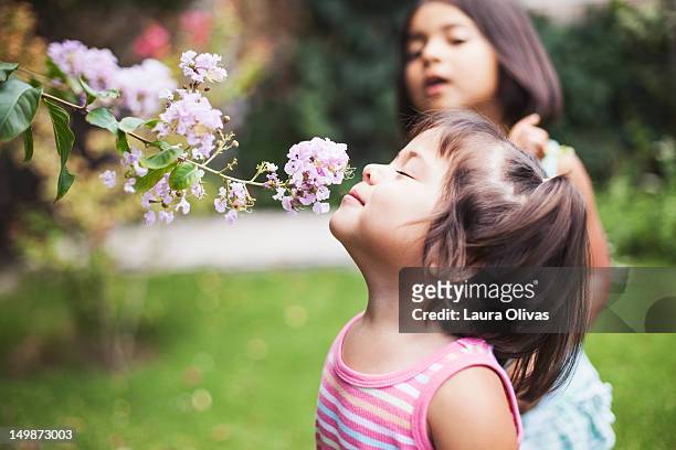 Toddler girl smelling flowers In garden