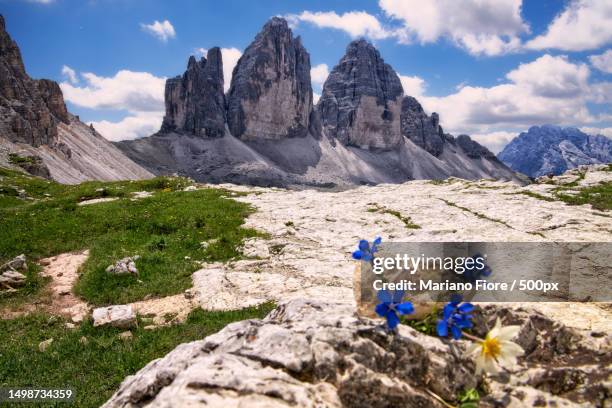 people hiking on mountain against sky,auronzo di cadore,veneto,italy - fiore di campo fotografías e imágenes de stock