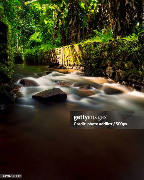 scenic view of river flowing in forest,kerala,india - kerala waterfall stock pictures, royalty-free photos & images