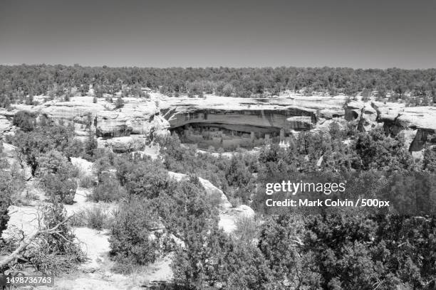 high angle view of trees on landscape against clear sky - mark colvin stock pictures, royalty-free photos & images