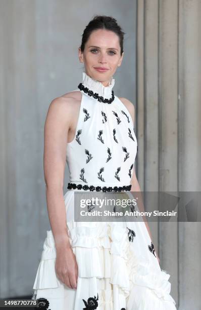 Felicity Jones attends The National Gallery Summer Party 2023 at The National Gallery on June 15, 2023 in London, England.