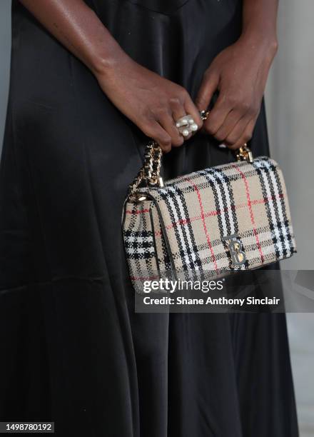10,114 Burberry Purse Stock Photos, High-Res Pictures, and Images