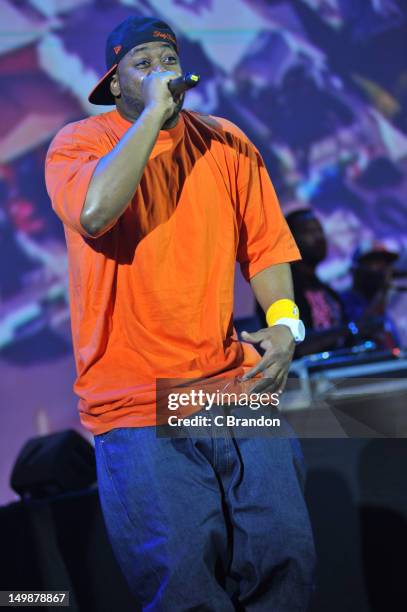 Ghostfacekush Rapper 1,703 The Art Of Rap Photos & High Res Pictures - Getty Images