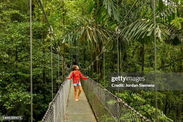 a woman taking in the views while on a hanging bridge in the jungle of costa rica - costa rica stock pictures, royalty-free photos & images
