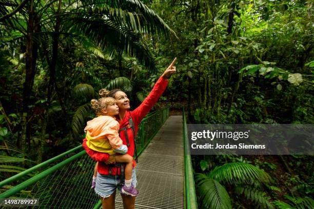 a mother and her daughter on a bridge in the rainforest of costa rica - explorador imagens e fotografias de stock