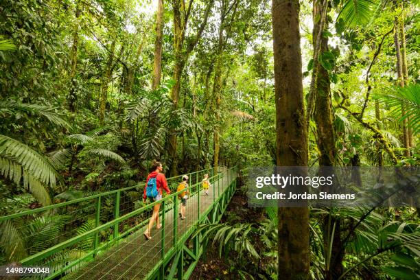 a mother and her two kids walking across a bridge through the rainforest of costa rica - la fortuna stock pictures, royalty-free photos & images