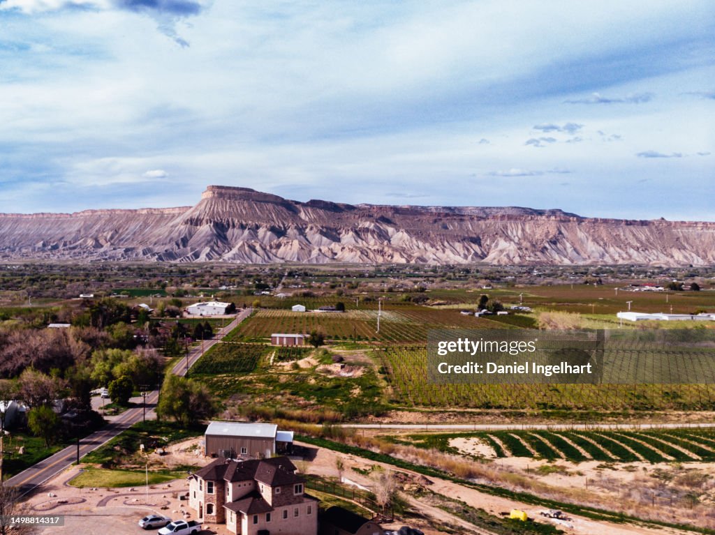 The aerial scene encompasses Palisade's expansive orchards, harmoniously integrated with farmhouses and fields, as the distant silhouette of the Bookcliff Mountains and Mount Garfield completes the panorama.