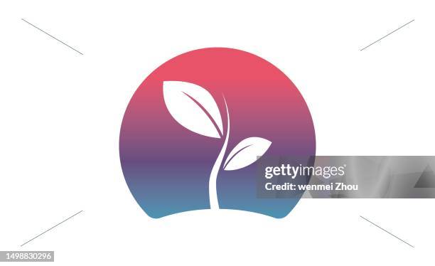 newly sprouting plants - seed sprouting stock illustrations