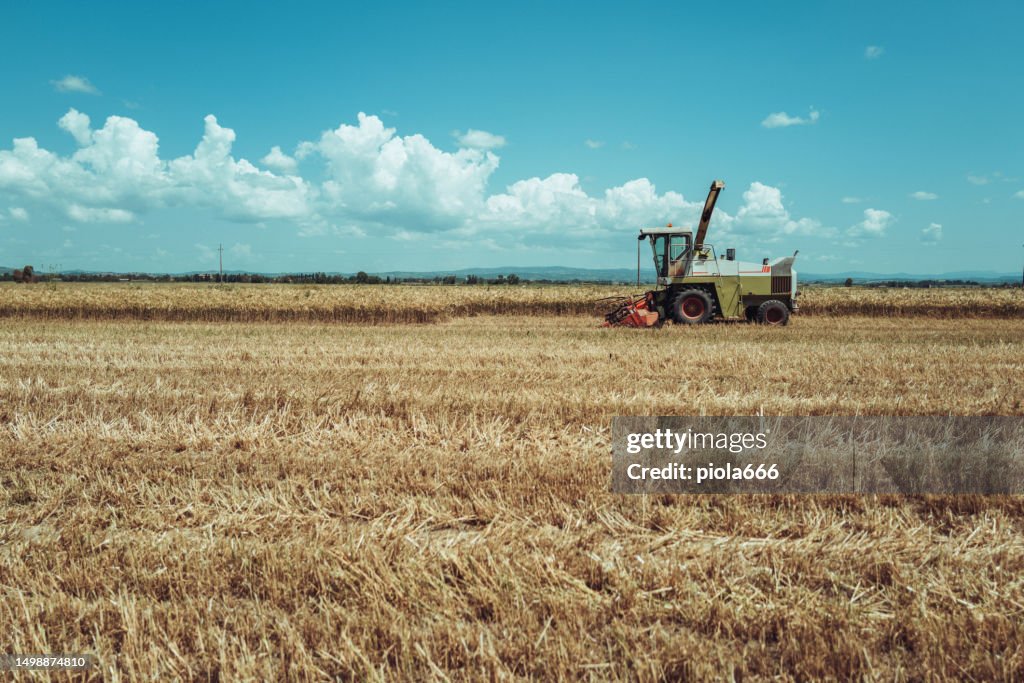 Agricultural activity in Italy: tractor gathering hay