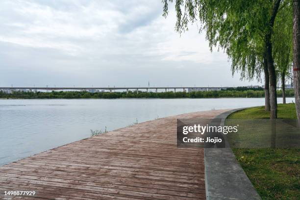 boardwalk in the park - boardwalk stock pictures, royalty-free photos & images