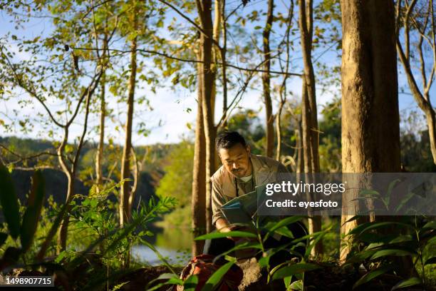 environmentalist work in rain forest. - forester stock pictures, royalty-free photos & images