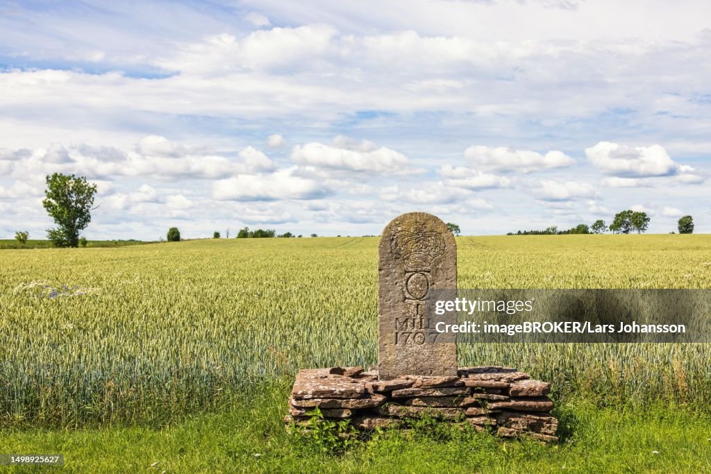 Milestone on the roadside by a field with crops, Sweden