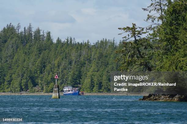 dense forest and small fishing boat, national park, ucluelet, coast, pacific rim national park reserve, pacific, british columbia, canada - bc commercial fishing boats stock pictures, royalty-free photos & images