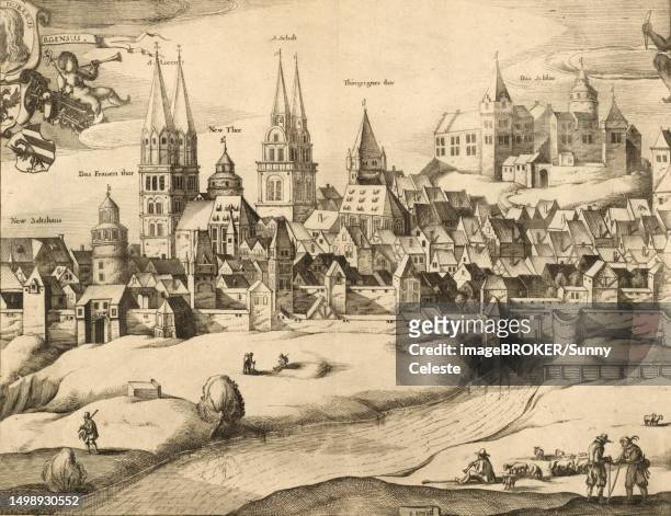 view of nuremberg, bavaria, germany, in 1666, historical, digitally restored reproduction from a 19th century original - castelo stock-grafiken, -clipart, -cartoons und -symbole