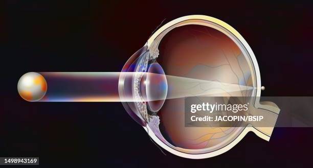12 Ocular Refraction Stock Photos, High-Res Pictures, and Images ...
