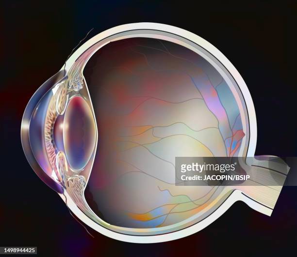 glaucoma drawing - anterior chamber stock illustrations