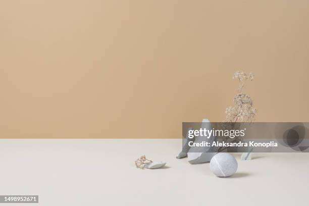 product presentation template - empty 3d stage with rocks and dry plants on pastel beige and cream background. front view, copy space. natural organic eco stone podium, copy space. - bleached stockfoto's en -beelden