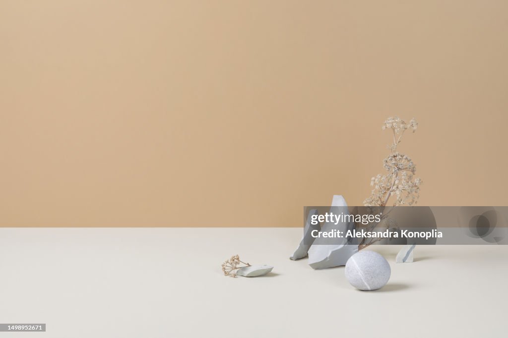 Product presentation template - empty 3d stage with rocks and dry plants on pastel beige and cream background. Front view, copy space. Natural organic eco stone podium, copy space.