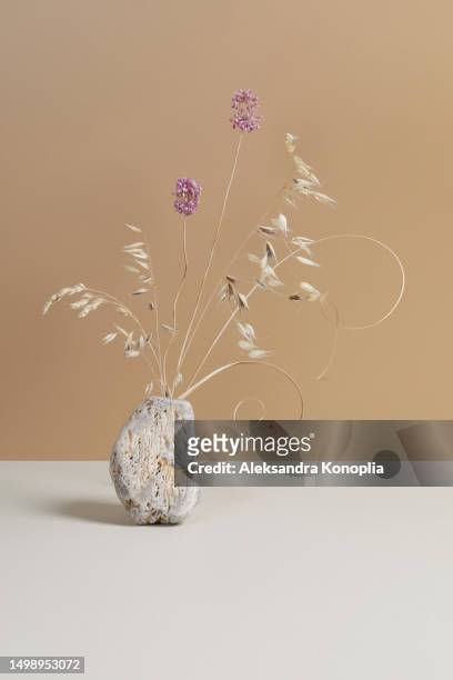 creative natural arrangement composition - empty 3d stage with light grey stone with bouquet of dry oat, curvy grass and flowers on pastel beige and cream background. front view, copy space. - ikebana arrangement stock pictures, royalty-free photos & images