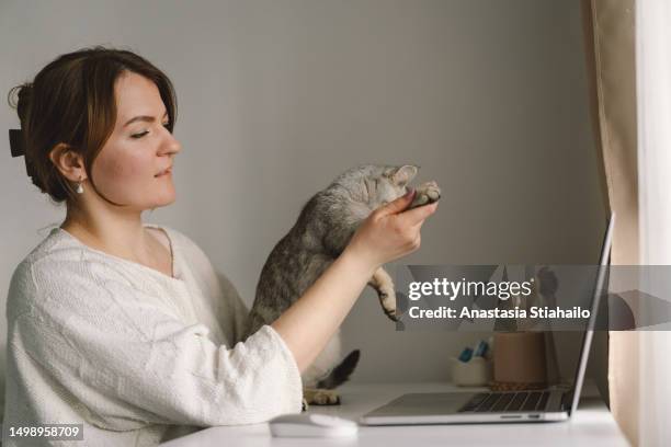 a woman consults with the vet on the laptop of her  cat. - consultation lake bildbanksfoton och bilder