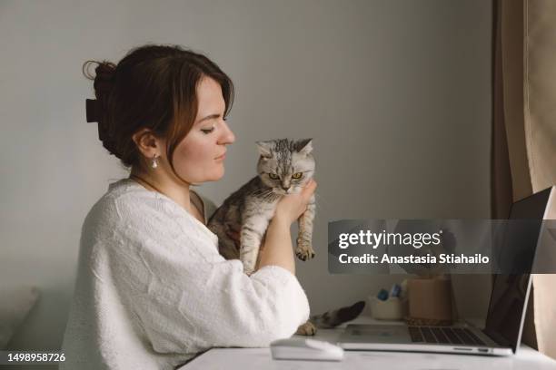 a woman consults with the vet on the laptop of her  cat. - consultation lake fotografías e imágenes de stock